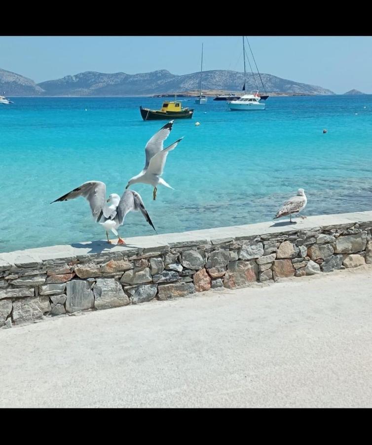 Eos - Appartement De Charme Et Confort Pour 4 Personnes Pres De La Plage Et Du Coeur De Koufonissi Koufonisia Eksteriør billede
